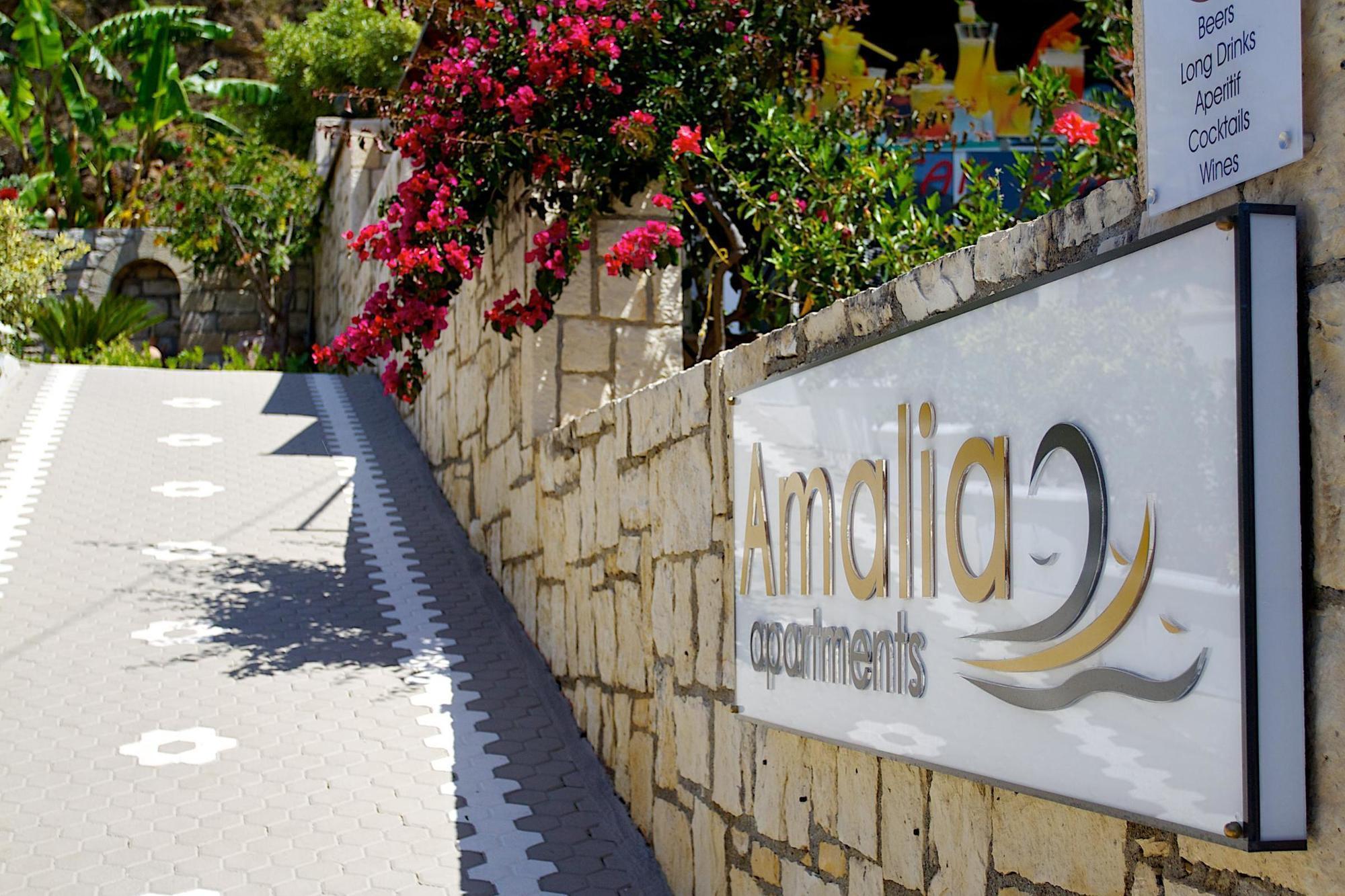 Amalia Apartments Bali  エクステリア 写真